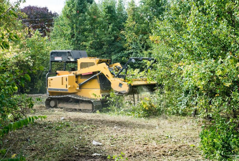 Vegetation Removal Machinery