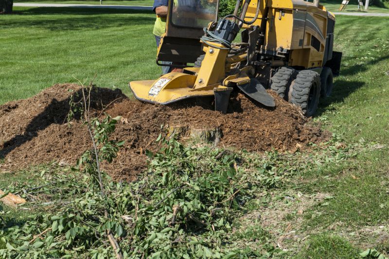 Debris and Stump Grinding