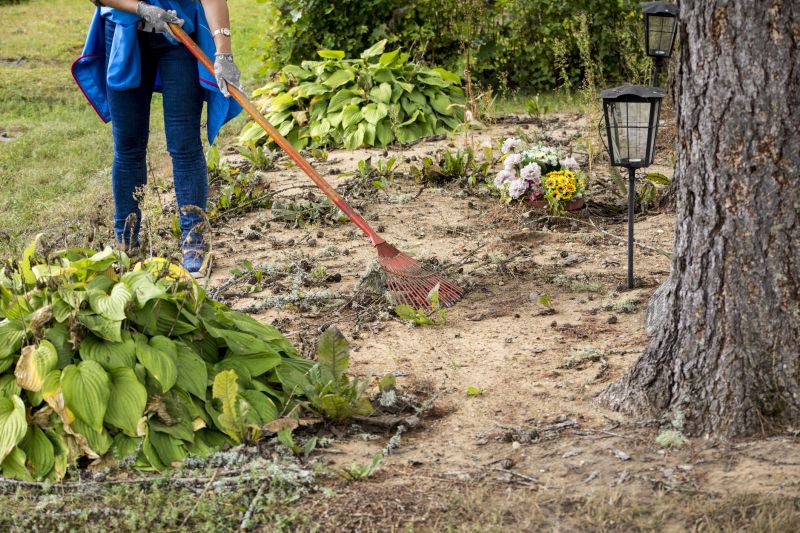 Custom Land Clearing Plans