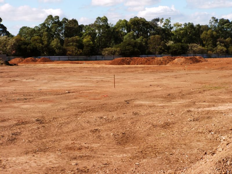Land Clearing for Agriculture
