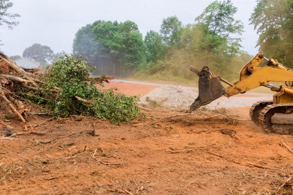 Ground Clearing in Irvine