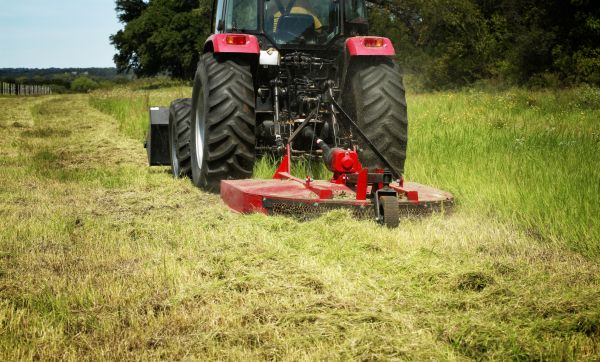 Brush Clearing Service in Irvine