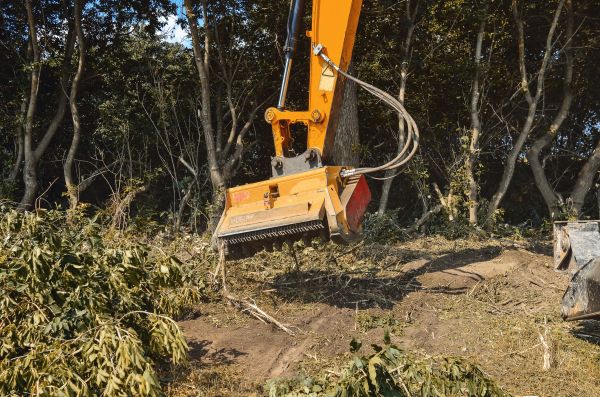 Brush Removal Service in Irvine