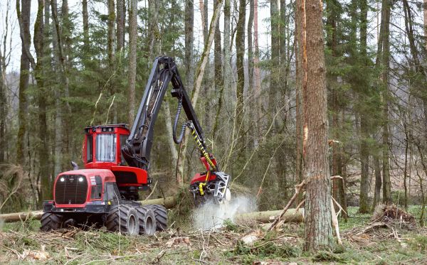 Forest Clearance Service in Irvine