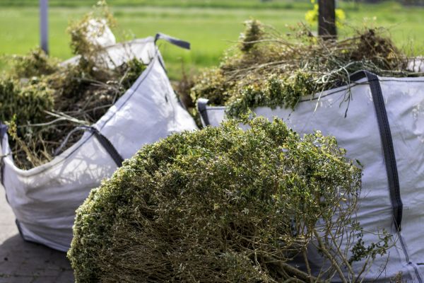 Cost of Bushes Clearing in Irvine