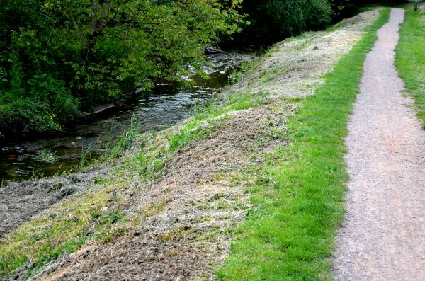 Trail Cutting in Irvine